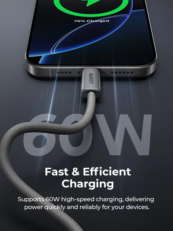 أوكي كابل ٦٠ واط CB DCC061 Circlet Blink 1m DTY Braided USB C to USB C